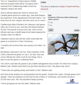July 15, 2013 screen capture of a July 11 Chattanooga Times Free-Press story on the Canada goose controvery at Chattanooga State Community College. (Click image to enlarge.)