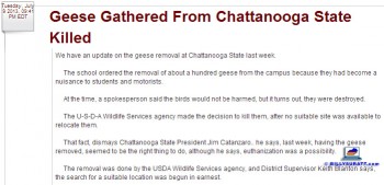 July 15, 2013 screen capture of a story published July 9, 2013 on Chattanooga ABC affiliate WTVC-TV Channel 9's website (http://www.newschannel9.com/news/top-stories/stories/vid_6171.shtml) saying "That fact, dismays Chattanooga State President Jim Catanzaro.. he says, last week, having the geese removed, seemed to be the right thing to do, although he says, euthanization was a possibility." (Photo by Billy Suratt)
